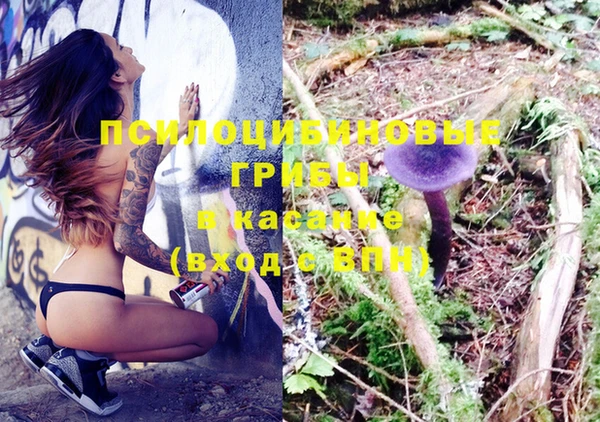 синтетический гашиш Алексеевка