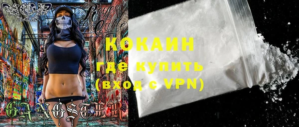 ECSTASY Алзамай